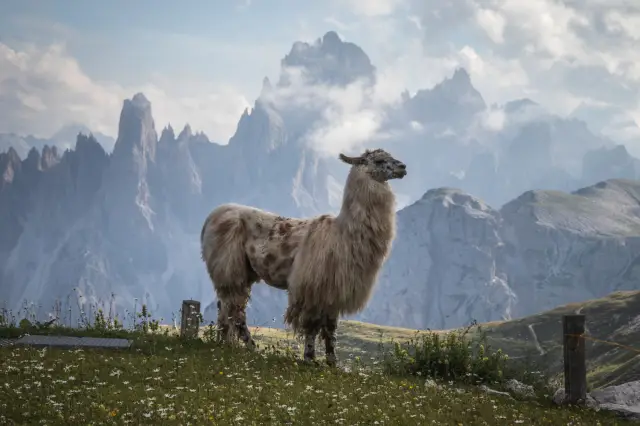 Things to know if you want to visit Peru 