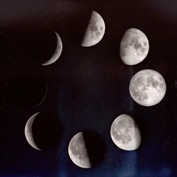 Lunar Calendar June 2025 