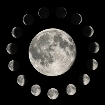 Lunar Calendar January 2025 