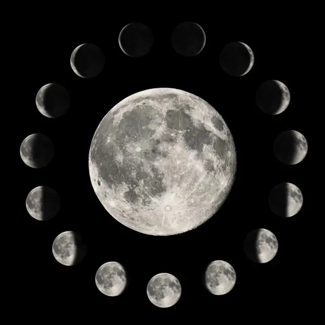 Lunar Calendar January 2025 
